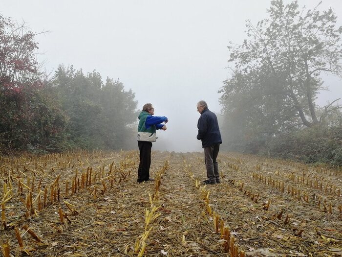 Les pères aux champignons