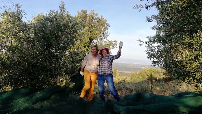 Fiorella et Christine dans les olives