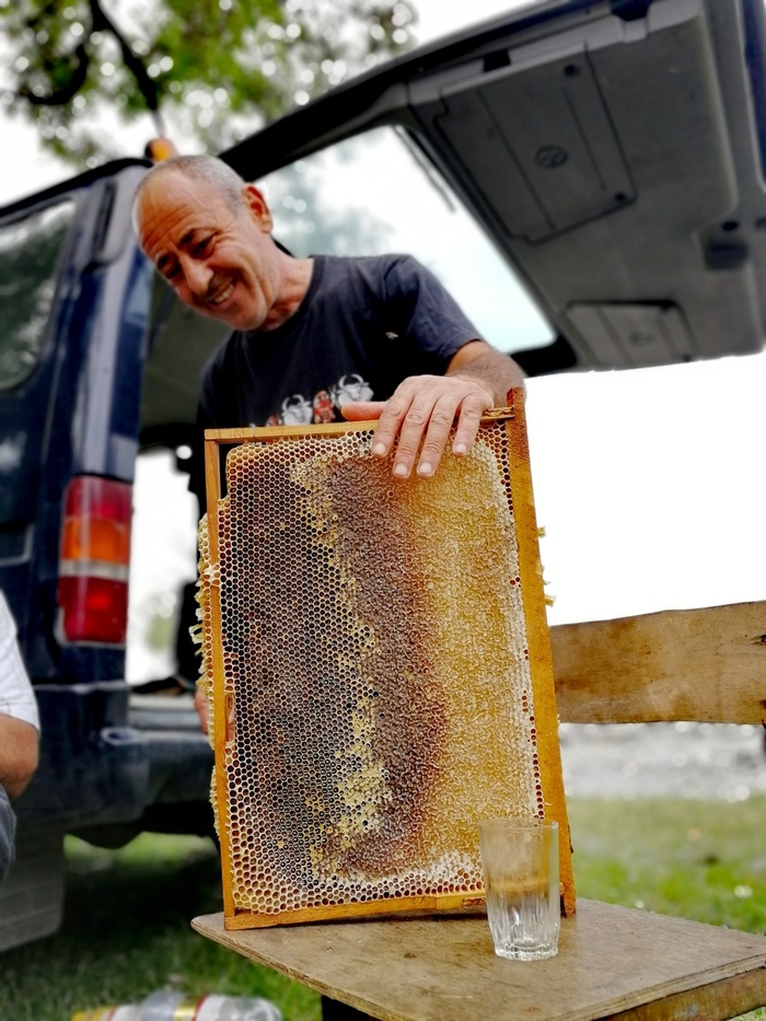 L'apiculteur découpe un cadre plein de miel