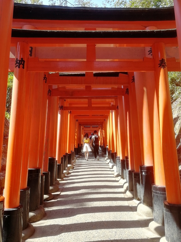 La plus connue des images de Kyoto